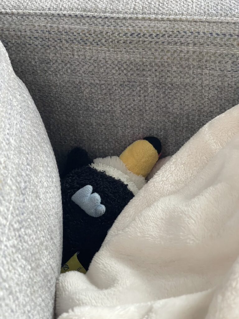 どうしようかと悩み、寝込む”ねぐち”の画像