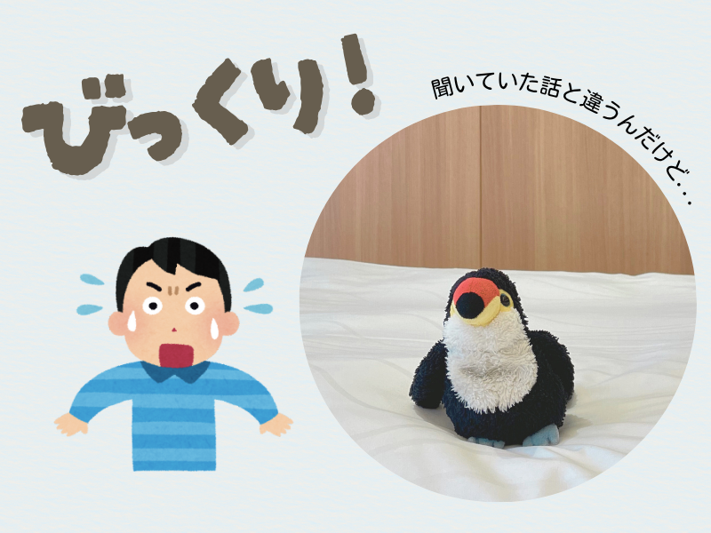 「聞いていた話と違う」と驚いていてるベッド上の”ねぐち”の画像
