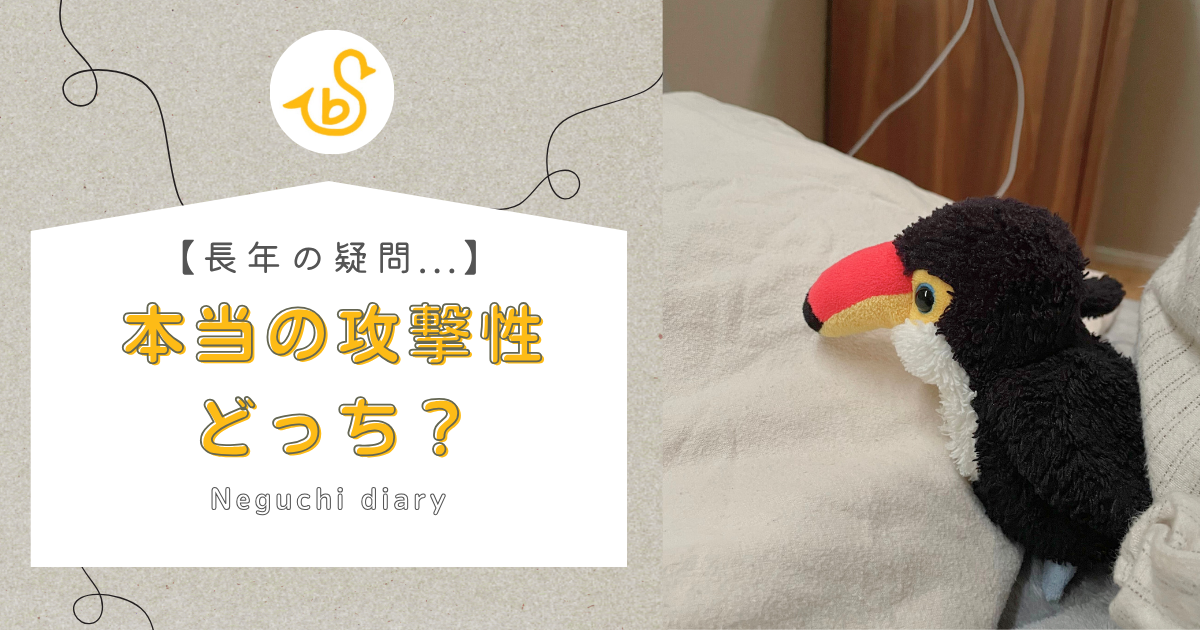 長年の疑問「本当に攻撃的なのはどっち？」というメッセージと枕元で思い悩むねぐちのアイキャッチ画像