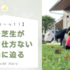 「くうぅ〜っ！」「隣の芝生が青くて仕方ない理由に迫る」というタイトルメッセージが書かれたアイキャッチ画像。右側には、芝生の上で転ぶオニオオハシのぬいぐるみの画像がある。