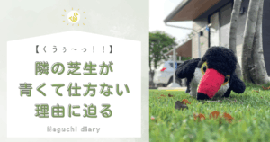 「くうぅ〜っ！」「隣の芝生が青くて仕方ない理由に迫る」というタイトルメッセージが書かれたアイキャッチ画像。右側には、芝生の上で転ぶオニオオハシのぬいぐるみの画像がある。