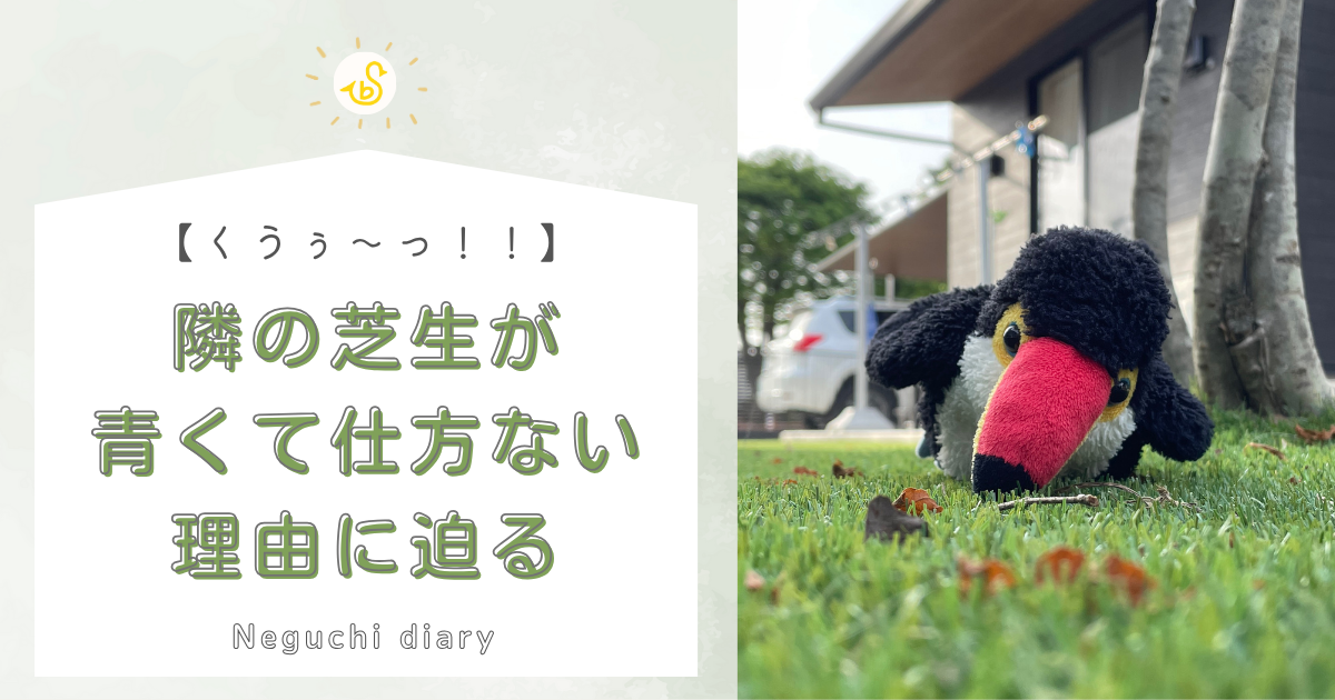 「くうぅ〜っ！」「隣の芝生が青くて仕方ない理由に迫る」というタイトルメッセージが書かれたアイキャッチ画像。右側には、芝生の上で転ぶオニオオハシのぬいぐるみの画像がある。