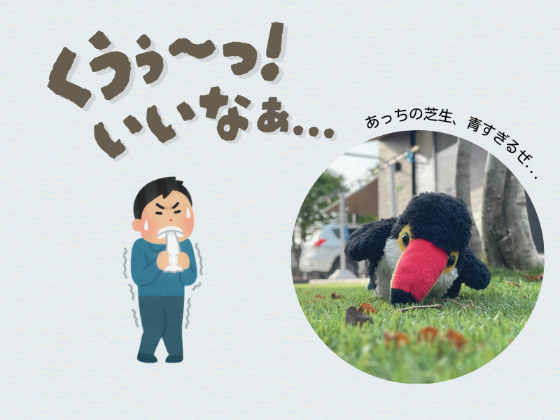 「くうぅ〜」「あっちの芝生が青すぎる...」とハンカチを噛み締めながら悔しがる男性のイラストと芝生上で転けるオニオオハシのぬいぐるみ”ねぐち”の画像