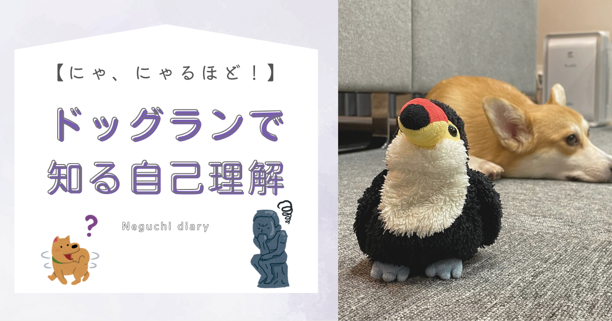 「ドッグランで知る自己理解」というタイトルが大きく書かれたアイキャッチ画像。左下に犬のイラストと考える人のイラスト、右側にはオニオオハシのぬいぐるみ”ねぐち”が立っている様子とその後ろにはコーギーが座り込んでいる様子が写っている写真がある。