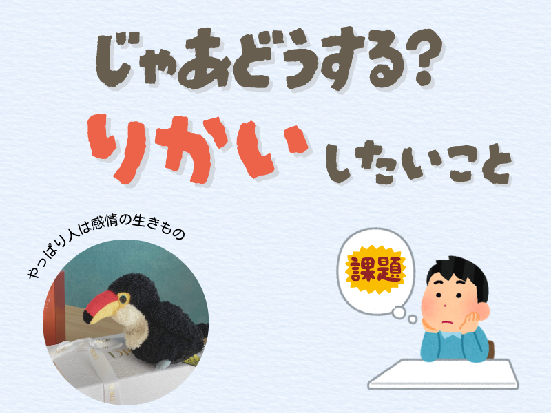 「じゃあどうする？理解したいこと」「やっぱり人は感情の生き物」というテキストメッセージが書かれた画像。左下には箱の上を見つめるオニオオハシのぬいぐるみ”ねぐち”の写真、右下には机の上で課題について考える男の子のイラスト。背景は水色で柔らかい雰囲気。