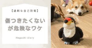 「傷つきたくないが危険なワケ〜過剰な自己防衛〜」というブログタイトルが書かれたアイキャッチ画像。右側には、オニオオハシのぬいぐるみ”ねぐち”と後ろにはコーギーが伏せている様子が写った写真がある。