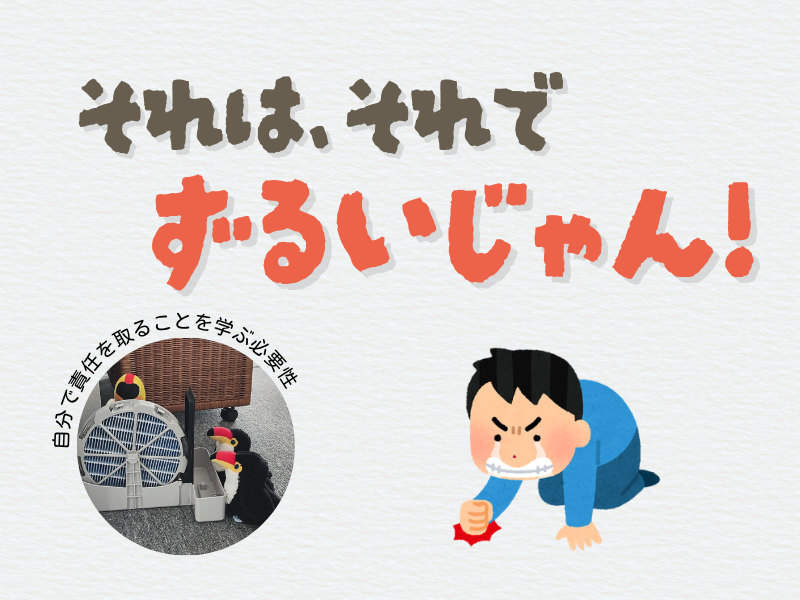 「それそれでズルいじゃん!」「自分で責任を取ることを学ぶ必要性」というテキスト画像。左下にはオニオオハシのぬいぐるみ3体が空気清浄機フィルター周りに集まっている様子を写した写真。右下には、地面を叩きながら悔しがる男性のイラストがある。