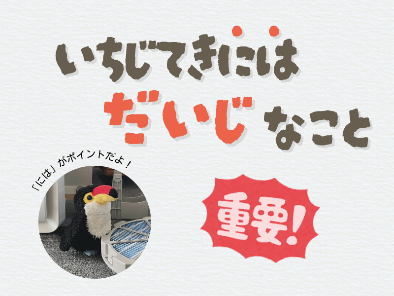 「一時的には大事なこと」というテキスト画像。左下にはオニオオハシのぬいぐるみ”ねぐち”がフィルター前に佇んでいる写真がある。