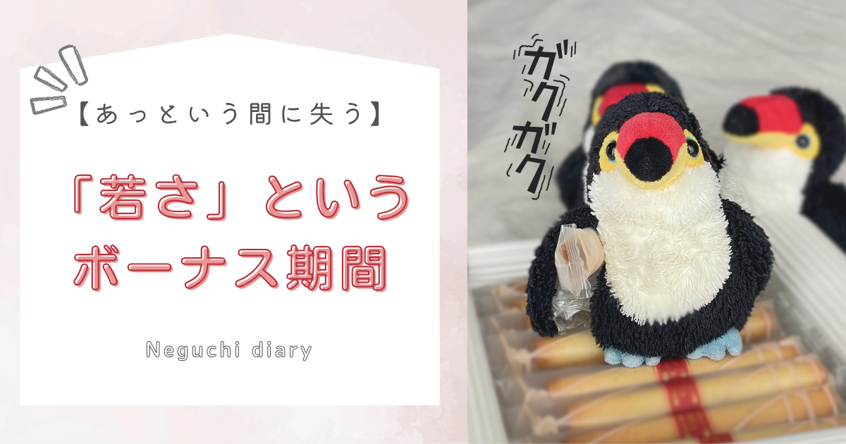 「あっという間に失う若さというボーナス期間」というタイトルテキストが書かれたアイキャッチ画像。右側には、お菓子を小脇に抱えるオニオオハシのぬいぐるみ”ねぐち”の写真がある。