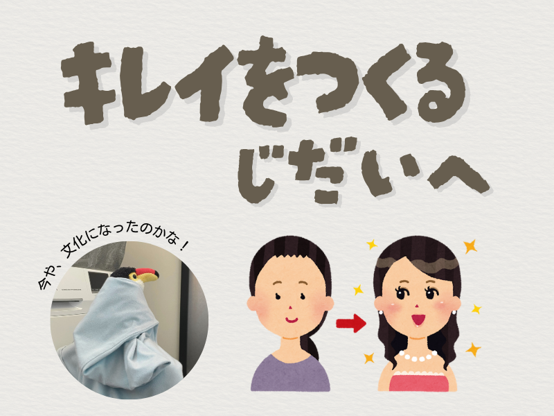 「綺麗を作る時代へ」とテキストが書かれている画像。左下には、水色の布にくるまり黄昏るオニオオハシのぬいぐるみ”ねぐち”の写真。右下には、メイクによりすっぴんから変わる女性のイラストがある。