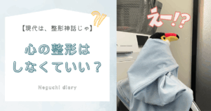 「心の整形はしなくていいですか？」「現代は、整形神話」とタイトルが書かれたテキスト、右側には水色の布にくるまり黄昏るオニオオハシのぬいるぐみ”ねぐち”の写真がある。