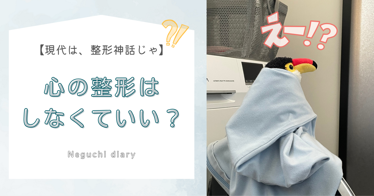 「心の整形はしなくていいですか？」「現代は、整形神話」とタイトルが書かれたテキスト、右側には水色の布にくるまり黄昏るオニオオハシのぬいるぐみ”ねぐち”の写真がある。