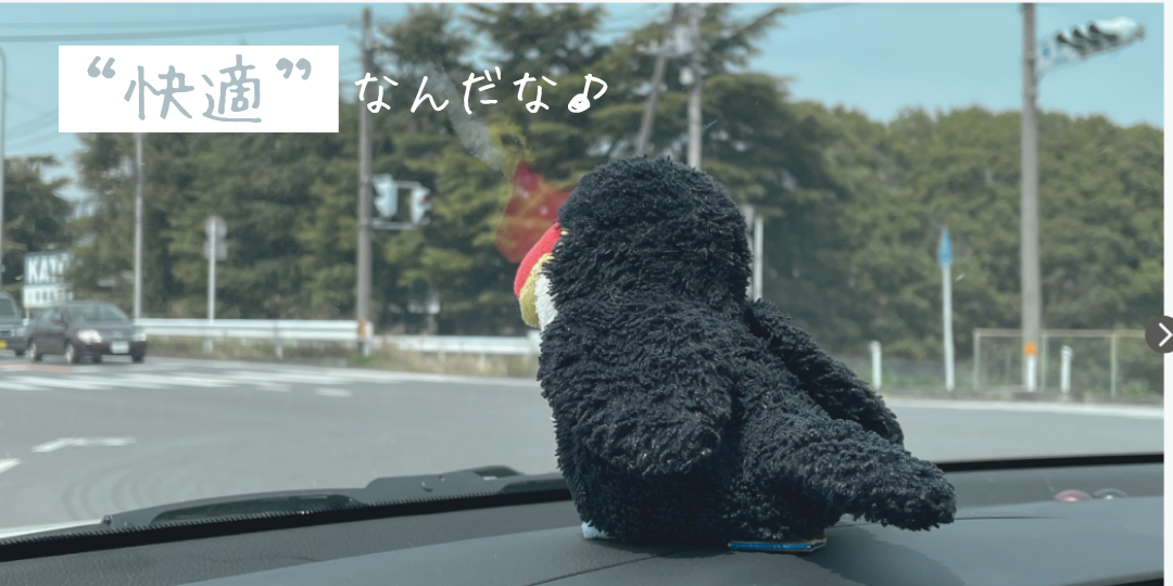 車内のフロントガラス越しに外を眺めるオニオオハシのぬいぐるみ。助手席ダッシュボード上で日向ぼっこする様子