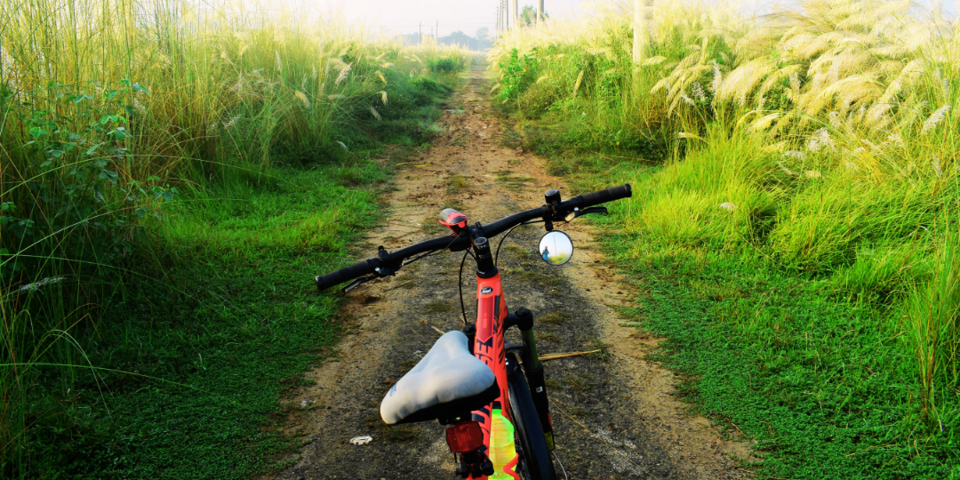 草むらの中に続く細い道と停められた自転車。解釈が先走る感覚や、自分の思考の流れを象徴する静かな風景。