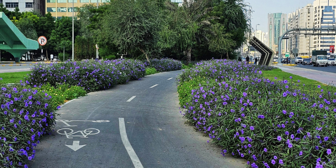 紫の花に囲まれた道路の風景。見たい世界によって解釈が変わる心理や、認知の方向性を象徴するイメージ。