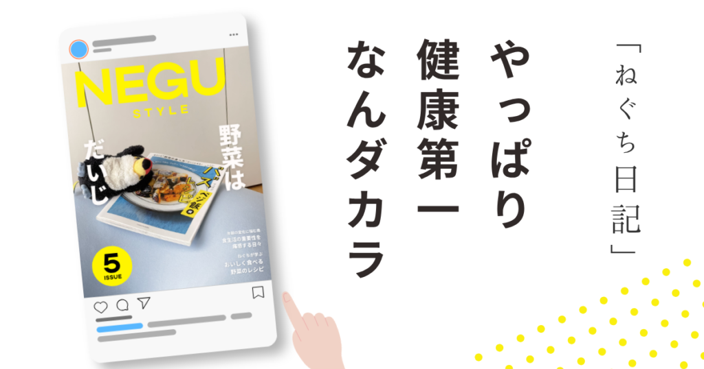 ねぐスタイル第5号「やっぱり健康第一なんダカラ」と書かれた雑誌風デザイン。野菜料理の皿に倒れ込むオニオオハシのぬいぐるみ“ねぐち”が表紙になっており、「野菜はだいじ」という文字とともに、健康のために野菜克服へ挑戦する様子を表現している。