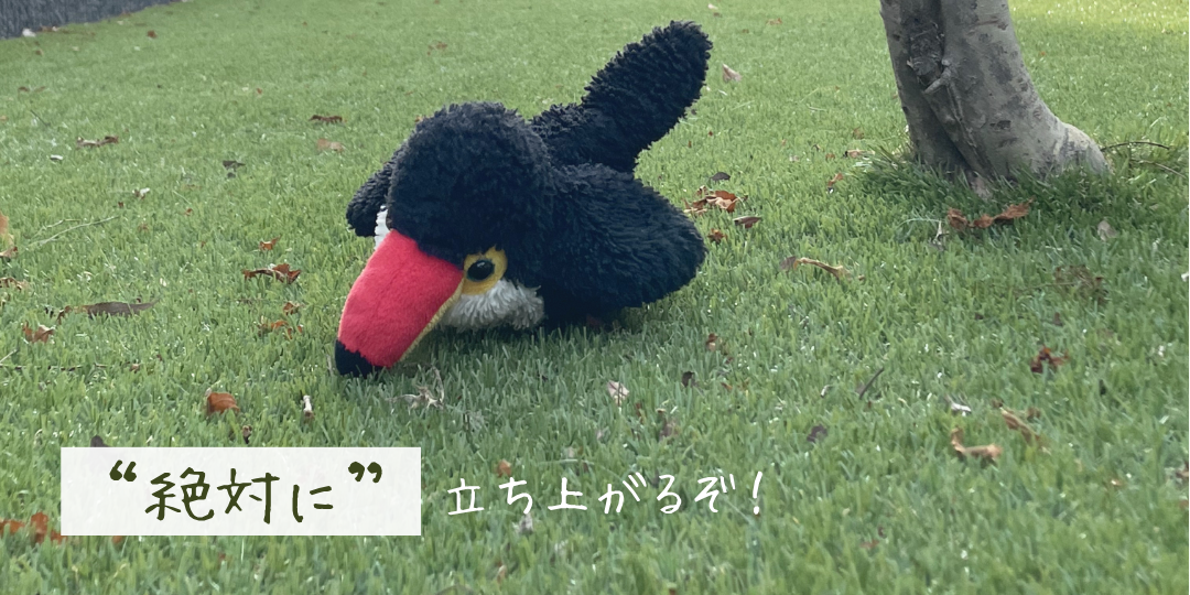 芝生の上で倒れながらも立ち上がろうとするオニオオハシのぬいぐるみ「ねぐち」。七転び八起きをテーマにしたイメージ写真。