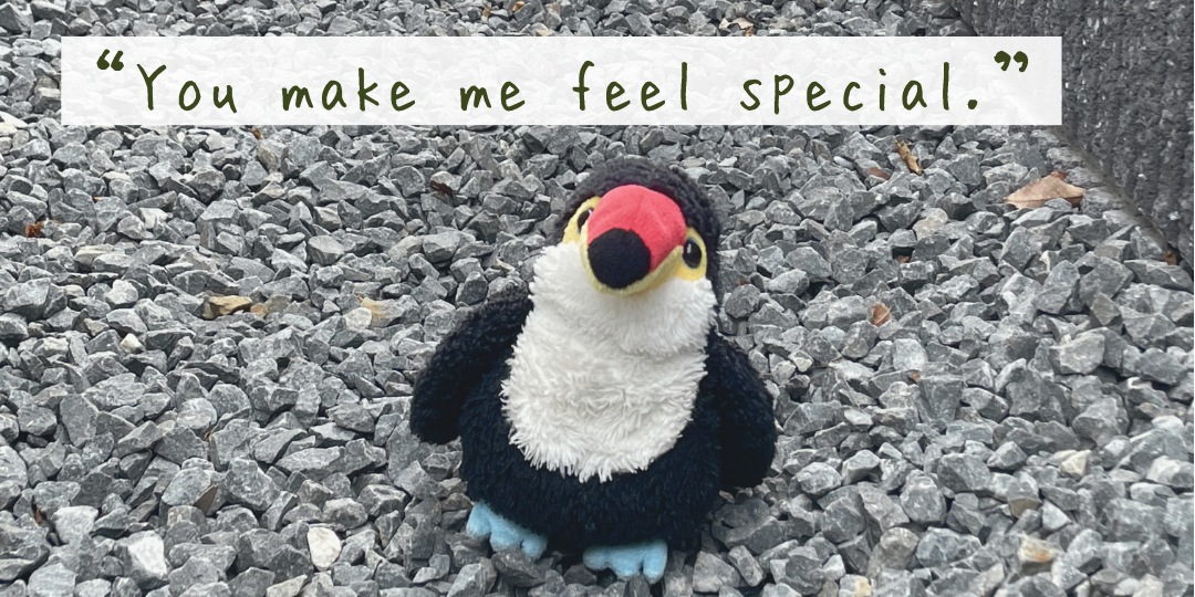 砂利の上に立つオニオオハシのぬいぐるみ「ねぐち」。TWICE『Feel Special』の歌詞に励まされる様子を表現した写真。