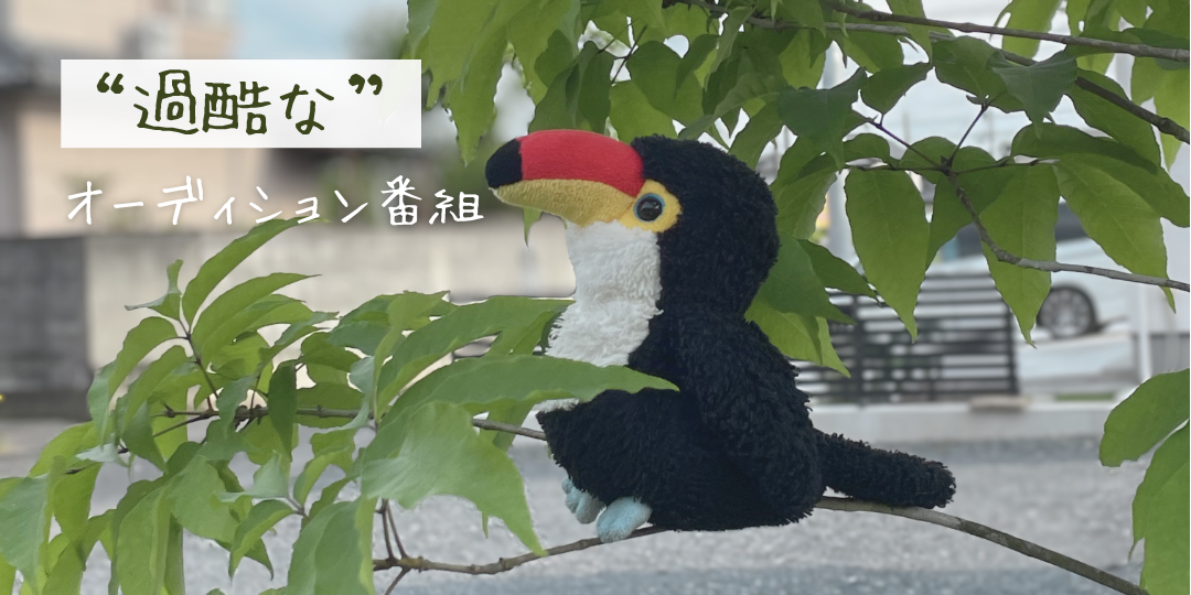 木の枝に止まり、K-POPオーディション番組を思い浮かべるオニオオハシのぬいぐるみ「ねぐち」。作品鑑賞から考察が広がる様子を表現した写真。