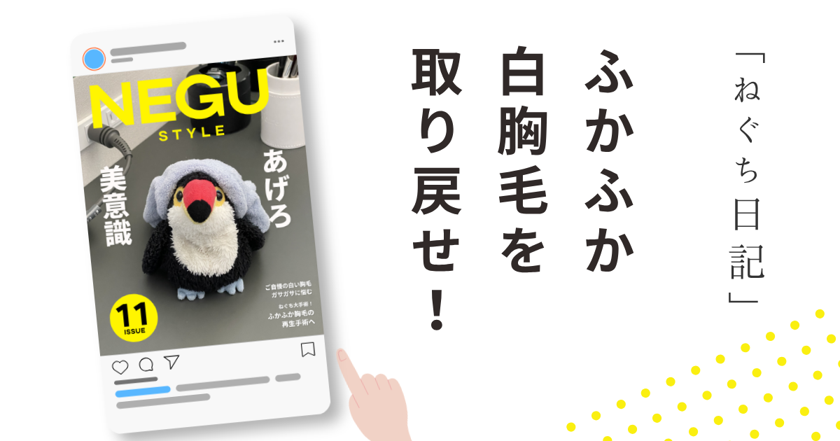 「ふかふか白胸毛を取り戻せ！」をテーマにしたブログ記事のアイキャッチ画像。クリーニングで美しく生まれ変わった「ねぐち」を紹介するNEGU STYLE第11号。